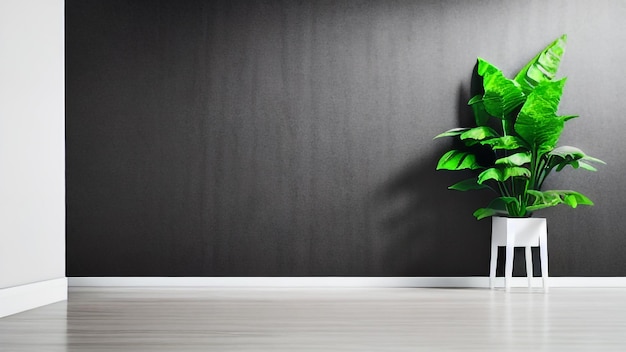 A plant in a white pot on a white floor