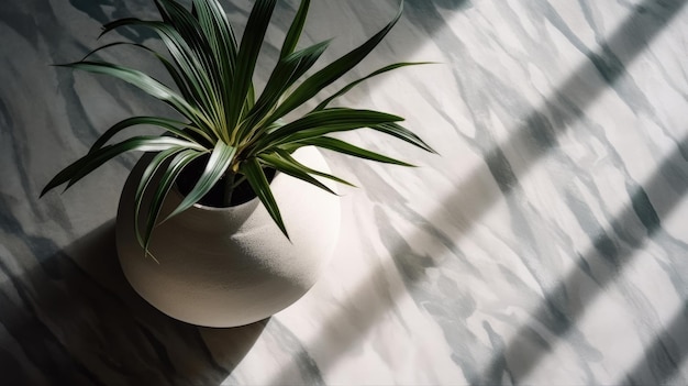 A plant in a white pot with a green leaf