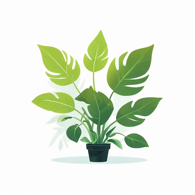 Photo a plant with green leaves in a pot on a white background