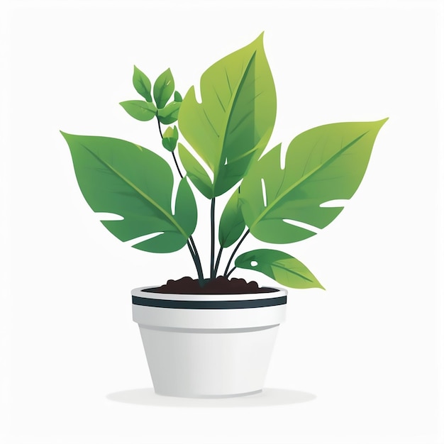 Photo a plant with green leaves in a pot on a white background