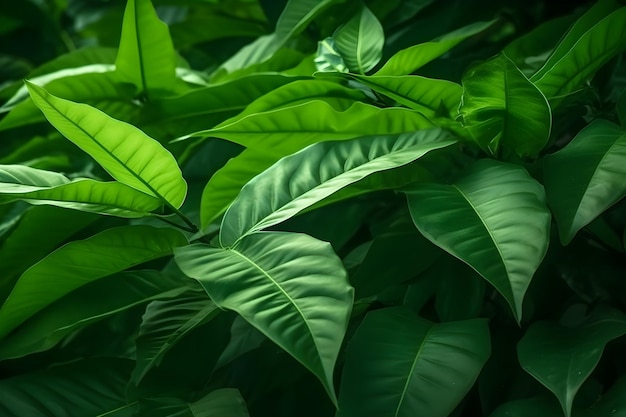 A plant with green leaves that have the word love on it