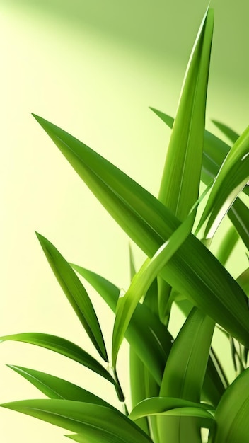 a plant with green leaves that is on a table