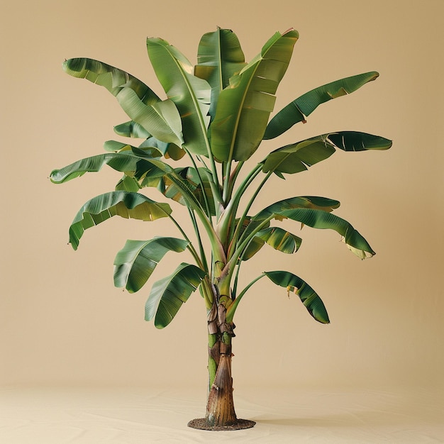 a plant with green leaves that is on a table