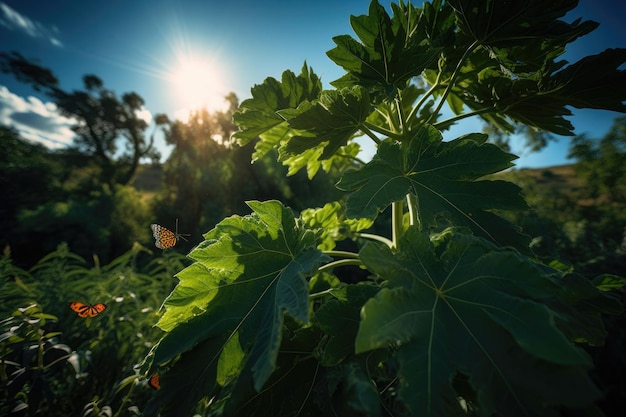 Plantation of mature papaya trees under the sun generative IA