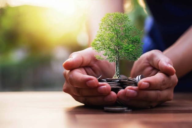 Planting crops on a pile of coins on hand Investment concepts in business