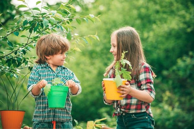 Planting flowers in pot pretty cute kids working and playing in beautiful garden little kids work in...