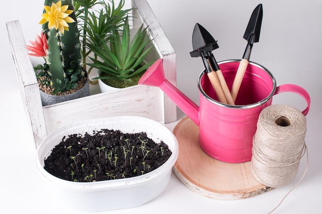 Planting flowers in spring and gardening tools Spring concept