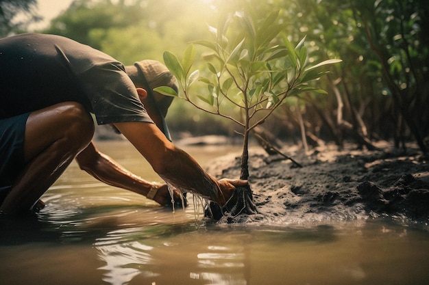 Planting Mangroves for Environment Conservation and Habitat Restoration on Earth Day