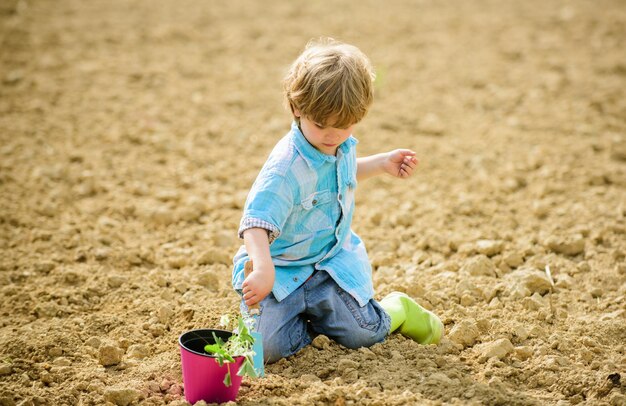 Planting seedlings Little boy planting flower in field Fun time at farm Happy childhood concept Little helper in garden Child having fun with little shovel and plant in pot Planting in field