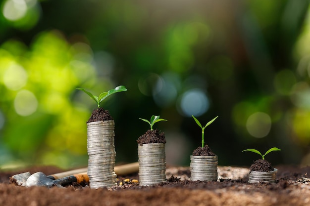 Planting on stacked coins with the financial concept based on the idea of saving money and growing