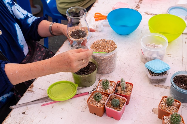 Planting trees, arranging a terrarium for home decoration. Horticulture and gardening on summer holiday with family and friend. World Environment Day concept