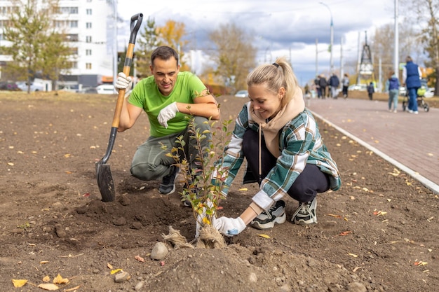 Planting trees in the city Landscaping Walters are planting bushes