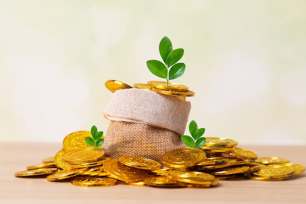 Plants growing among coins