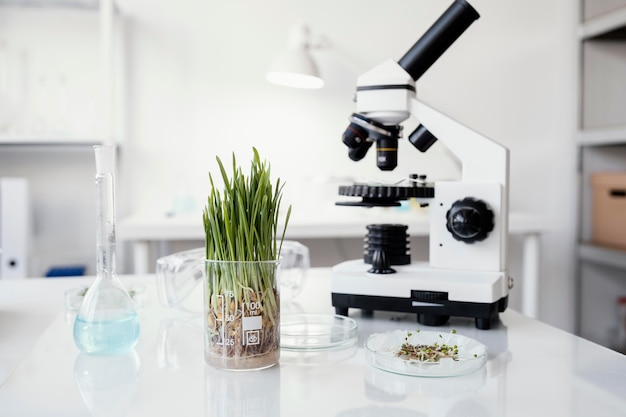 Plants and microscope arrangement