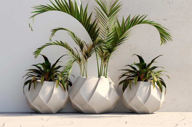 Plants in pots on a white wall