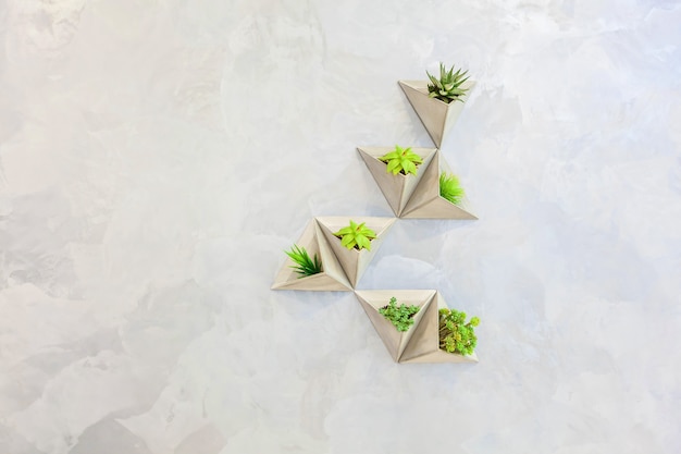 Photo plants in triangular pots on a light wall. decorations for office and home, interesting design solutions