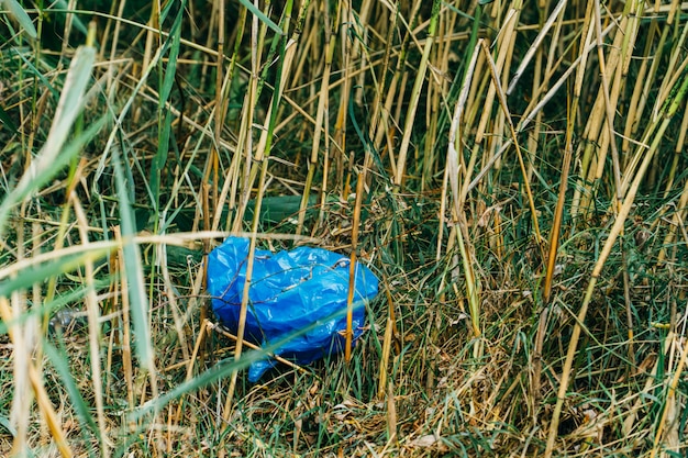 Plastic bag in grass. 