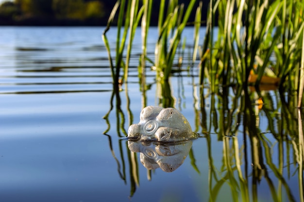 Plastic bottle floating in the river. water pollution concept