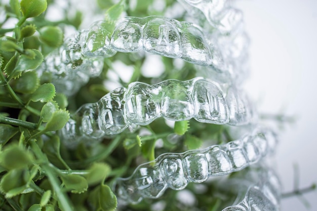 Plastic braces dentistry retainers for teeth straightening hanging on green leaves of indoor plant