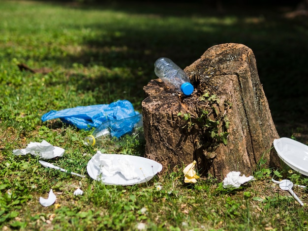 Plastic garbage near tree stump at garden