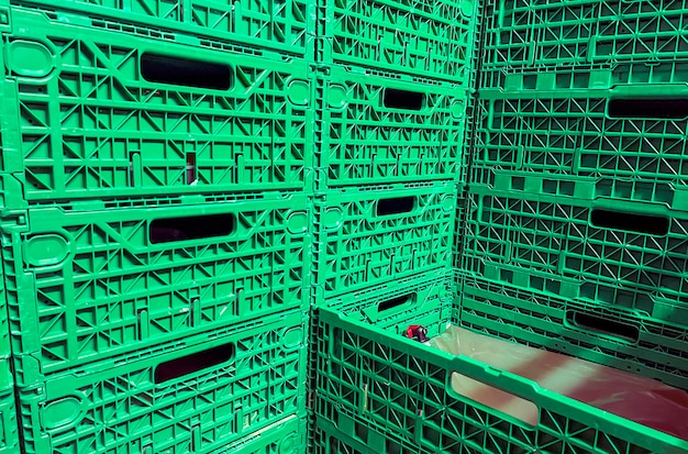 Photo plastic green crates for the transport of goods.