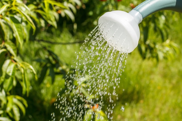 Plastic watering can with water pouring in the garden.