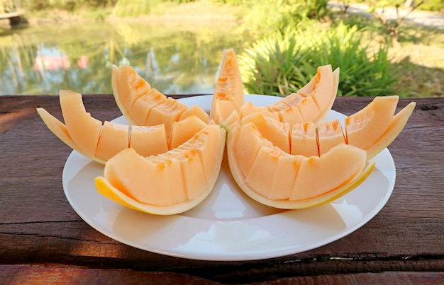 Plate of Delectable Juicy Fresh Cantaloupe Melon Slices