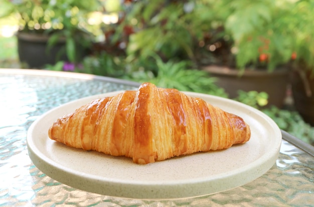 Plate of Puffy French Croissant Pastry Served on the Garden Table