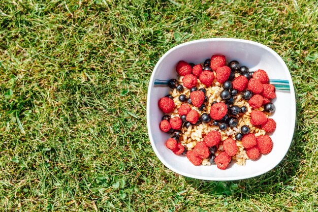 Plate with oatmeal and fresh fruit raspberries currants and melon on the grass the concept of healthy eating closeup