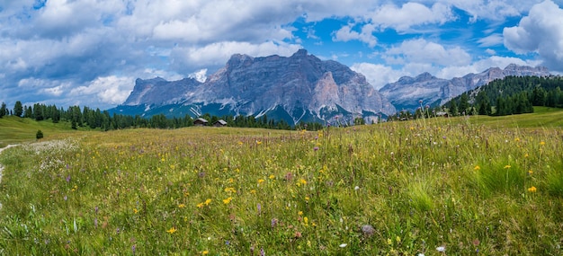 The plateau of Pralongia in the heart of Dolomites, between Corvara and San Cassiano