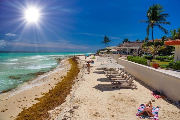 PLAYA DEL CARMEN MEXICO APR 2022 Lady in sexy string bikini sunbathing on a sandy beach with seaweeds in Playa del Carmen Yukatan Mexico