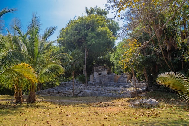 Playacar Mayan ruins in the forest park in Playa del Carmen Yucatan Mexico