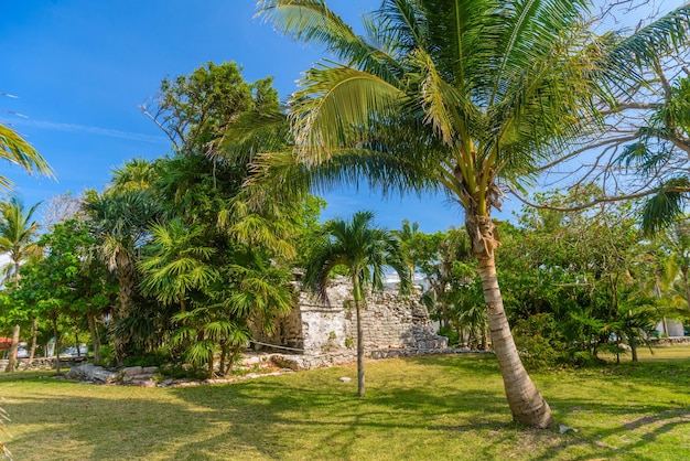 Playacar Mayan ruins in the forest park in Playa del Carmen Yucatan Mexico