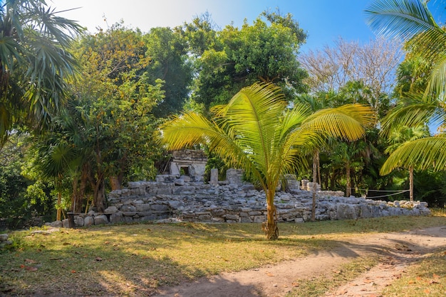 Playacar Mayan ruins in the forest park in Playa del Carmen Yucatan Mexico