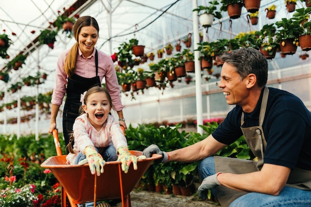 Playful parents pushing their daughter in wheelbarrow and having fun together while working at plant nursery