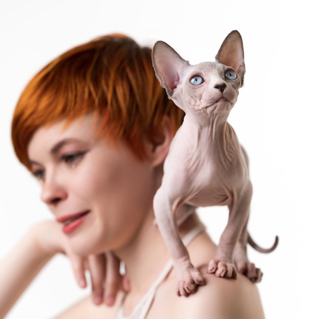 Playful Sphynx Cat looking up stands on shoulder redhead young woman Selective focus on foreground