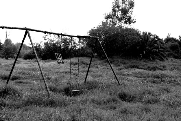 Photo playground on grassy field