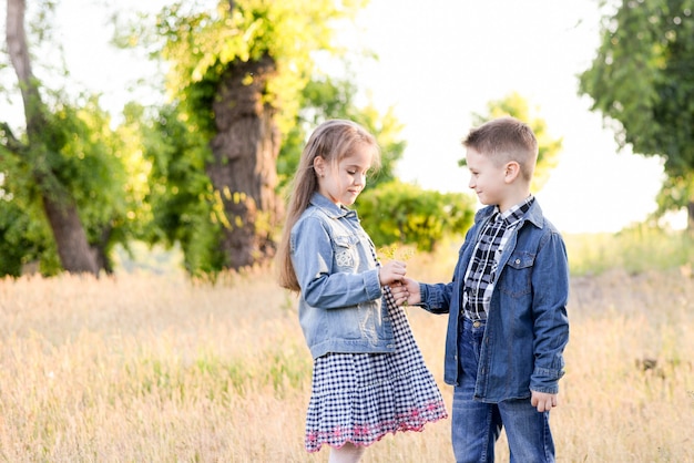 Playing children in green field during summer warm day