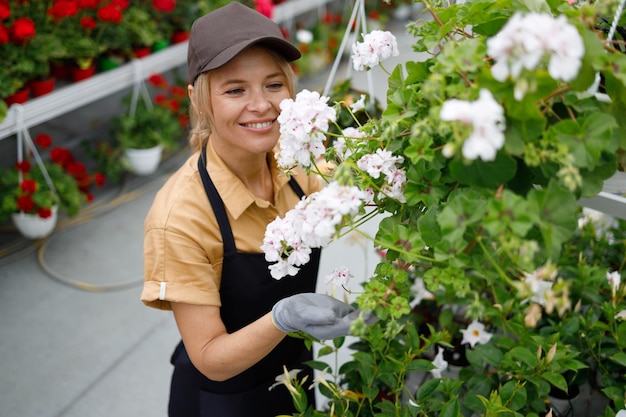 Pleasant female gardener checking growth of flowers at greenhouse