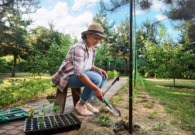 Pleasant woman gardener making a deep hole in fertilized ground while planting seedlings in open ground in the eco farm