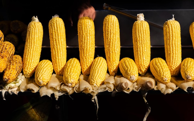 Plenty of organic peeled ears of corn after Autumn harvest