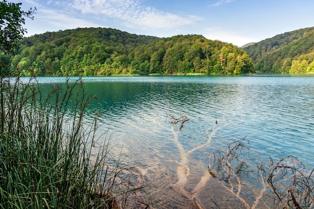 Plitvice lakes in Croatia beautiful summer landscape with turquoise water