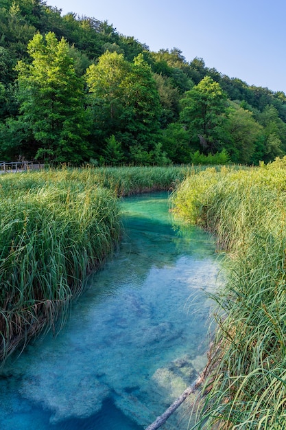 Plitvice lakes in Croatia beautiful summer landscape with turquoise water