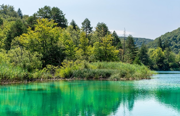 Plitvice lakes in Croatia beautiful summer landscape with turquoise water