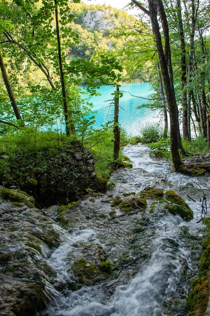 Plitvice lakes in Croatia beautiful summer landscape with waterfalls