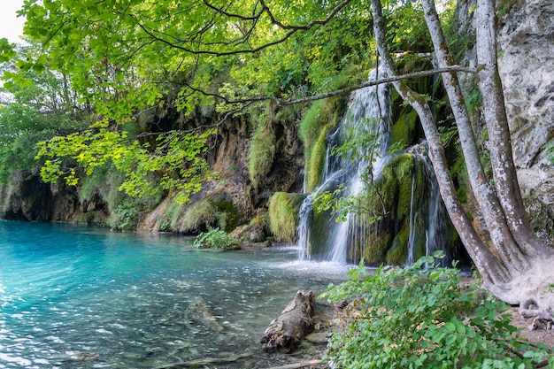 Plitvice lakes in Croatia beautiful summer landscape with waterfalls