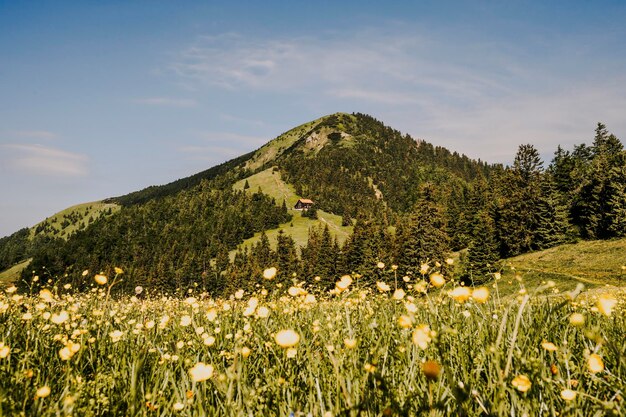 Ploska hill with mountain hut from Borisov Big Fatra mountains Slovakia Hiking summer Slovakia landscape