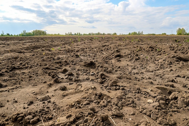 Photo a plot of freshly tilled soil