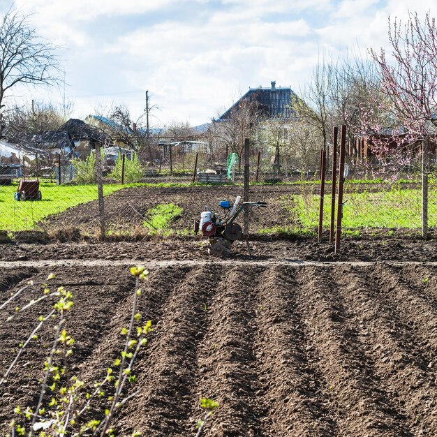 Plough vegetable beds and cultivato in village