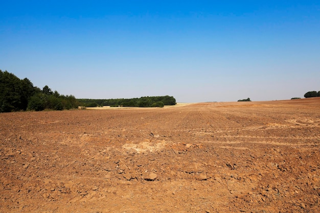 Plowed agricultural field